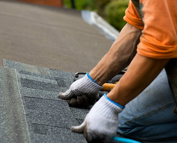Best Emergency Roof Repair  in New Eagle, PA