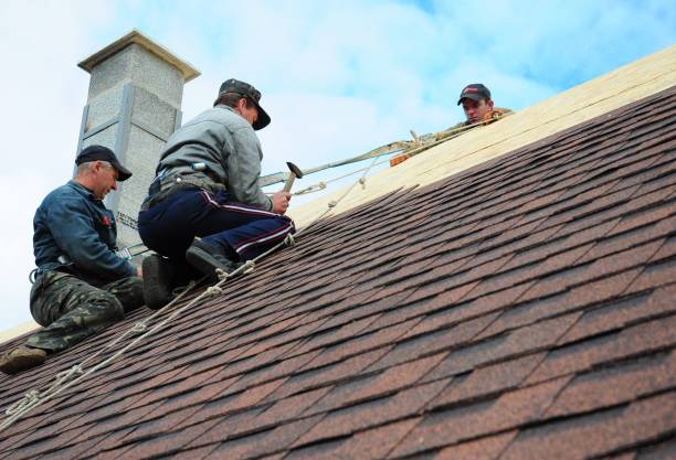 Roof Gutter Cleaning in New Eagle, PA